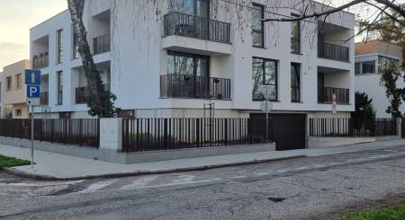 20250325_171226_resized.jpg 20250325_171226_resized.jpg