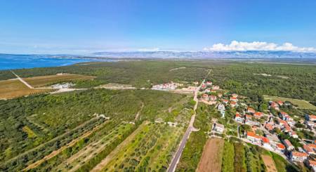 1761571237_petrcane-4.jpg 1761571237_petrcane-4.jpg